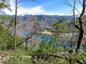 View from River Ridge Loop Trail