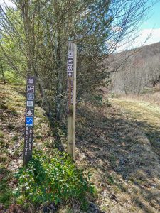 Buckey Ridge and Max Patch Loop Trails