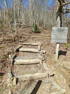 Trail to Max Patch Summit