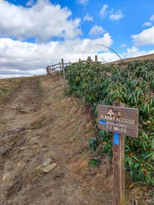 Max Patch Summit Trail