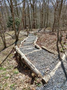 Stone Steps on the Max Patch Loop Trail