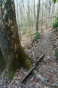 Pleasant Cove on the Cat Gap Bypass Trail