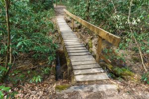 Log Footbridge on the Cat Gap Loop Trail