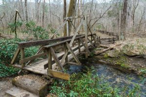 Unique Bridge on Cat Gap Loop