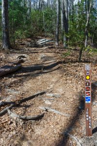 John Rock Trail From Cat Gap Loop