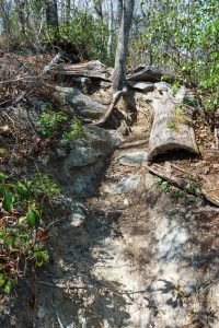 Steep Rocky Trail