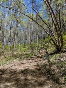 Start of the Club Gap Trail