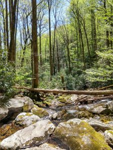 Crossing of Right Fork