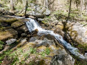 Small Falls on Right Fork