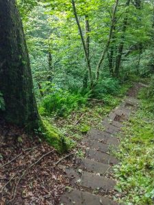 Long Set of Steps on the Big Butt Trail