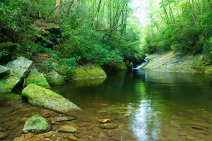 Rocks and Pool in North Harper Creek