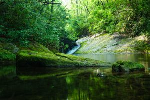 Green Pool and Rocks on North Harper Creek