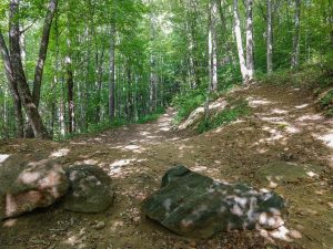 Boulders at the Start of the Bear Pen Trail