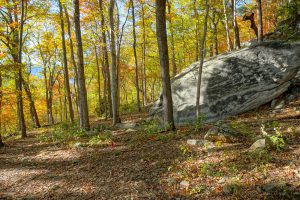 Boulder and Fall Color on the Rumbling Bald Loop Trail