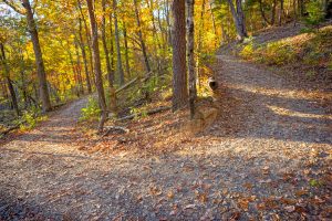 Switchback on the Rumbling Bald Loop Trail