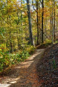 West Side of the Rumbling Bald Trail