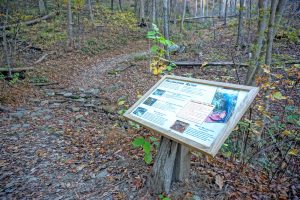 Salamander Sign on the Rumbling Bald Loop Trail