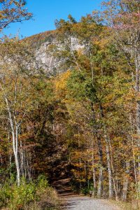 Start of the Rumbling Bald Loop Trail