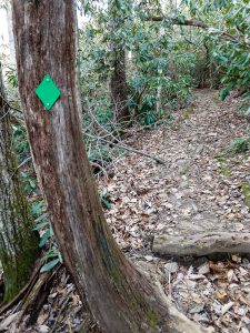 Green Blaze on the Rainbow Mountain Trail