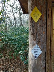 Blaze and Elevation Placards at the Start of Stomping Knob Trail