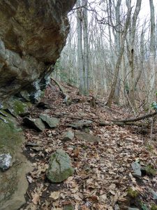 Rock Overhang on the Stomping Knob Trail