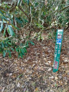 Sign stake at the start of Stomping Knob Trail.