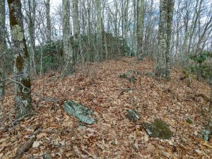 Summit of Stomping Knob