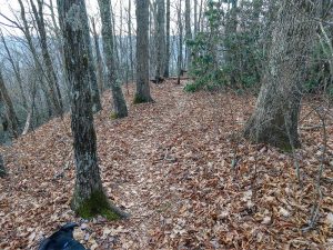 Path on Stomping Knob