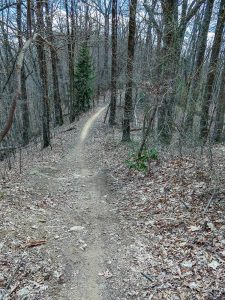 Buckwheat Knob Trail