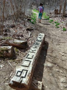 Buckwheat Knob Trail Marker