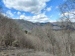 Powerline View from the Club Gap Trail