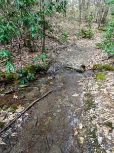 Stream Crossing on the Club Gap Trail