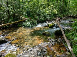 Armstrong Creek Crossing 1