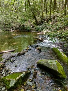 Armstrong Creek Crossing 1