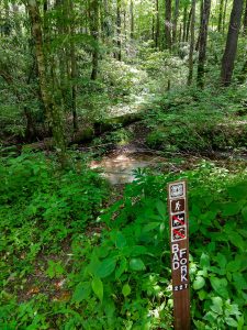 Bad Fork Trail