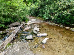 Crossing of Bubbling Spring Branch on the Flat Laurel Creek Trail