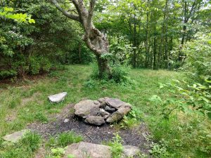 Campsite Beside the Flat Laurel Creek Trail