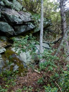 Rock Outcrop beside the Flat Laurel Creek Trail