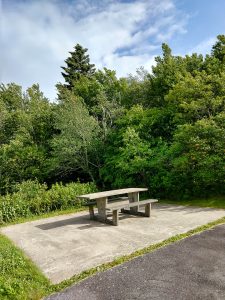 Picnic Table Overlook