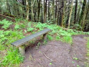 Bench on the Richland Balsam Trail