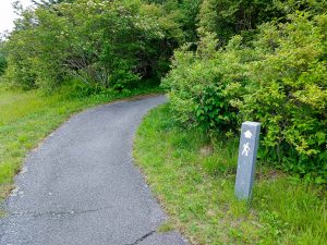 Start of the Richland Balsam Trail