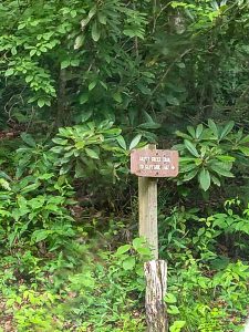 The Skitty Creek Trail Sign