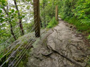 Cliffside Trail on Whiteside Mountain
