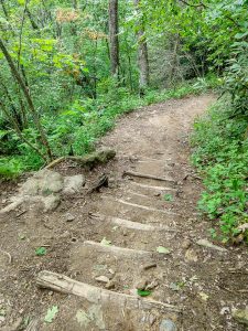 Log Steps on the Whiteside Mountain Trail