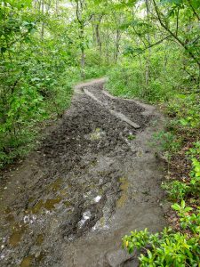 Mud Bog on the Whiteside Mountain Trail