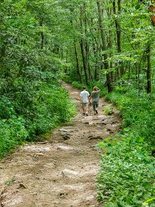 Hiking the Old Road on Whiteside Mountain