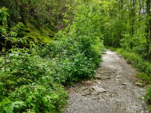 Eroded Stretch of Trail