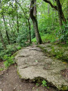 Rock Slab on the Whiteside Mountain Trail