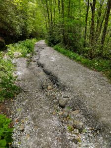 Severe Erosion on the Whiteside Mountain Trail