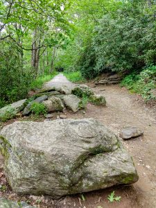 Old Road and Stone